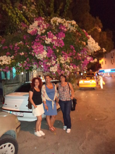 DSC02507 - 2014 TURCIA BODRUM