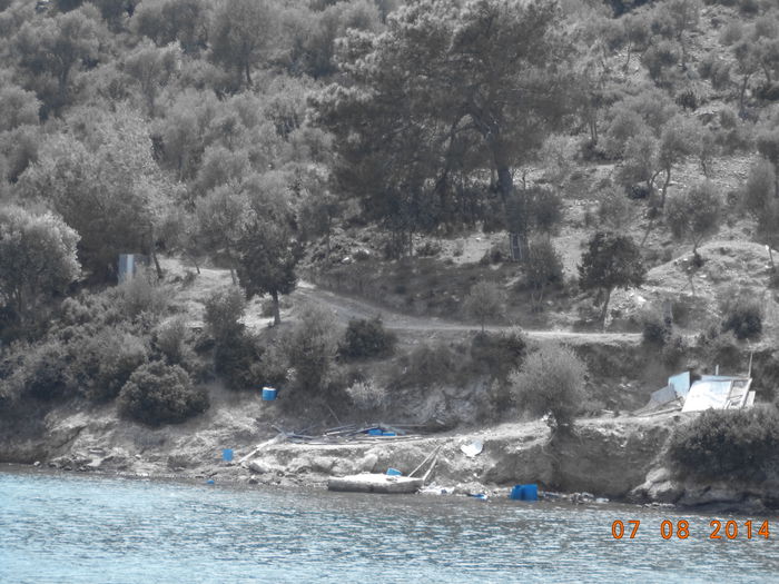DSC02734 - 2014 TURCIA BODRUM