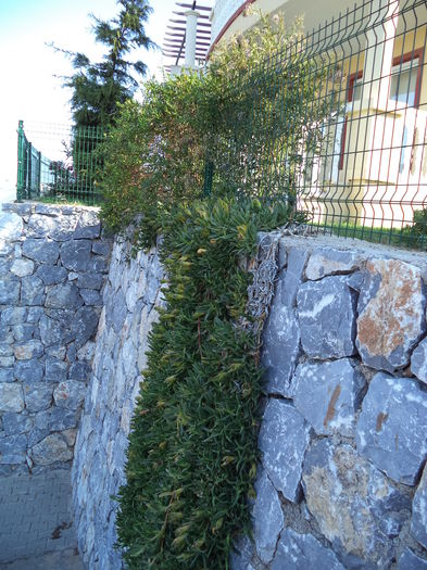 DSC02838 - 2014 TURCIA BODRUM