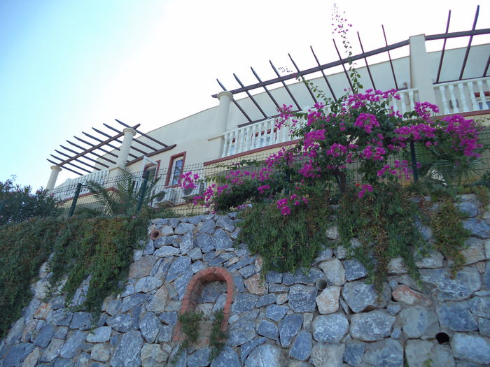 DSC02840 - 2014 TURCIA BODRUM