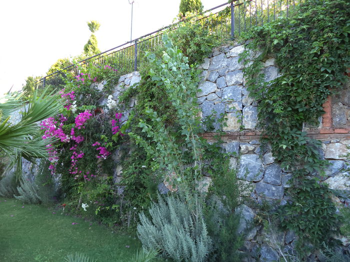 DSC02859 - 2014 TURCIA BODRUM