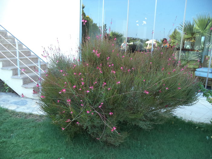 DSC02862 - 2014 TURCIA BODRUM