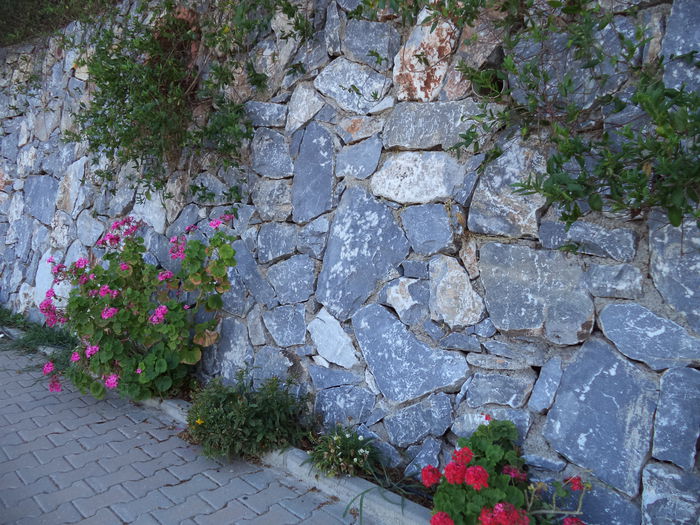 DSC02899 - 2014 TURCIA BODRUM