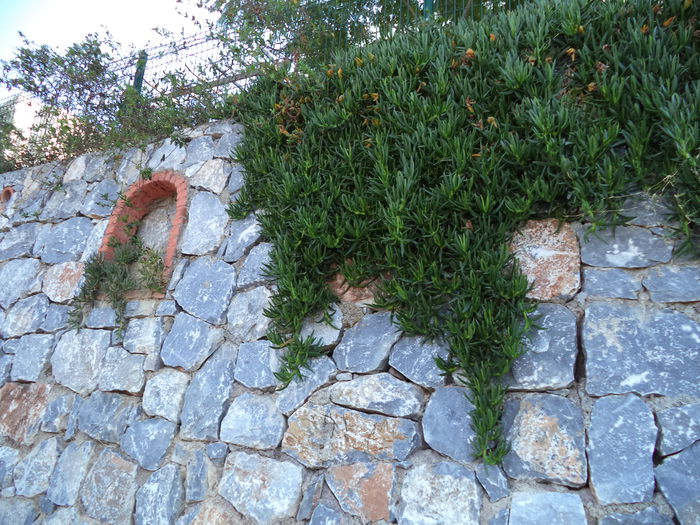 DSC02901 - 2014 TURCIA BODRUM