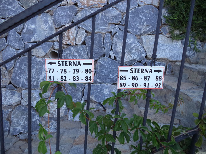 DSC02902 - 2014 TURCIA BODRUM