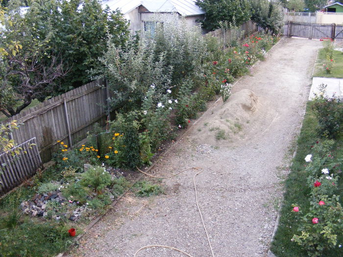 DSCF0159 - Vara 2014-2017