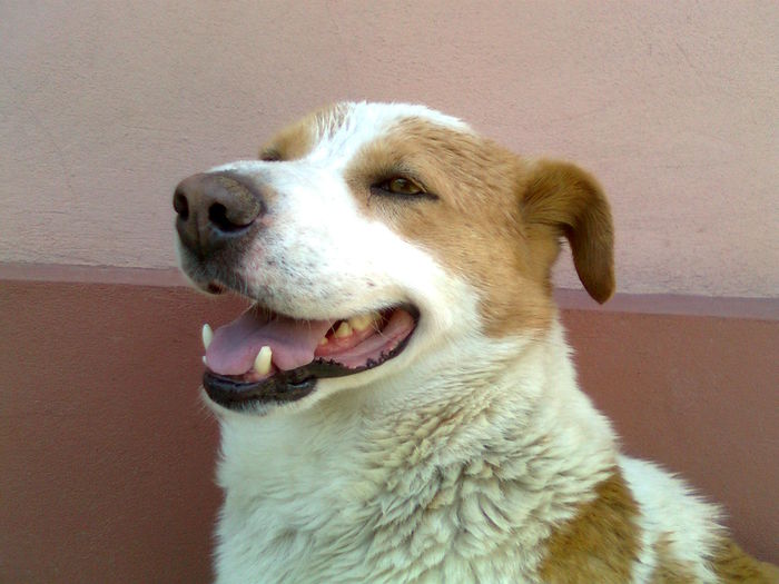@SELFIE 5 :)))))