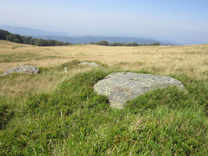 IMG_2925 - PARCUL NATIONAL SEMENIC-CHEILE CARASULUI