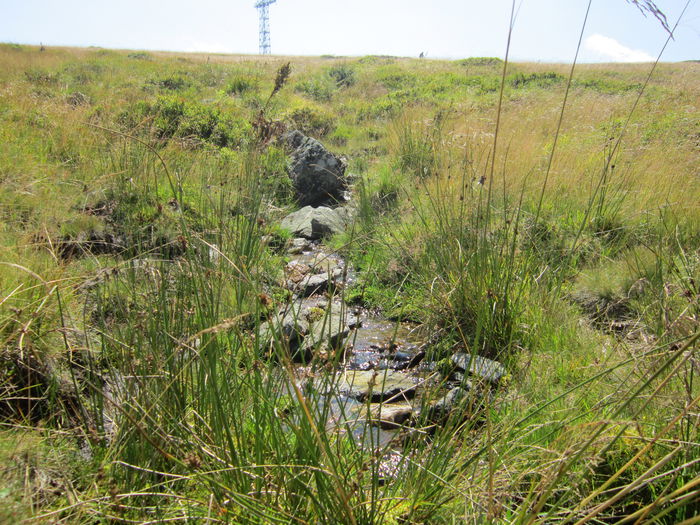 IMG_2927 - PARCUL NATIONAL SEMENIC-CHEILE CARASULUI