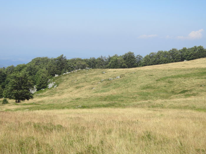 IMG_2928 - PARCUL NATIONAL SEMENIC-CHEILE CARASULUI