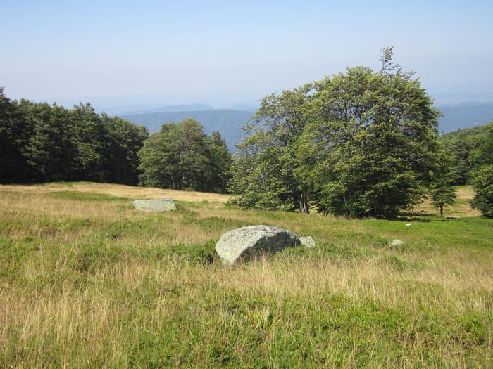 IMG_2929 - PARCUL NATIONAL SEMENIC-CHEILE CARASULUI