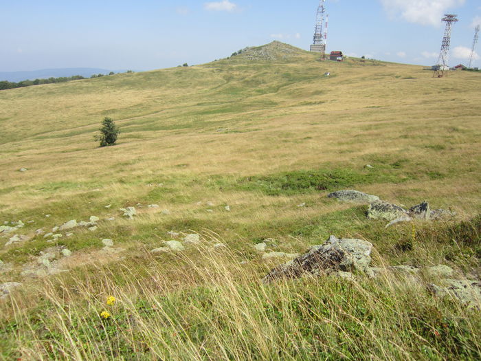 IMG_2937 - PARCUL NATIONAL SEMENIC-CHEILE CARASULUI