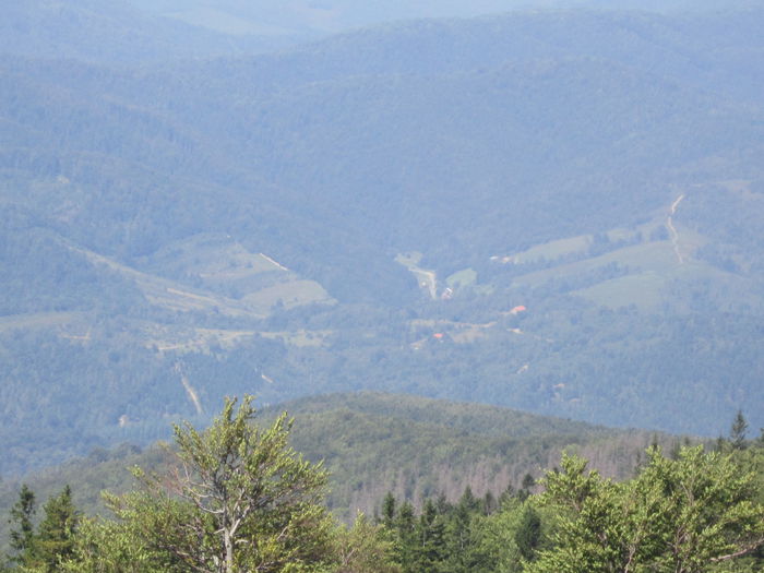 IMG_2938 - PARCUL NATIONAL SEMENIC-CHEILE CARASULUI