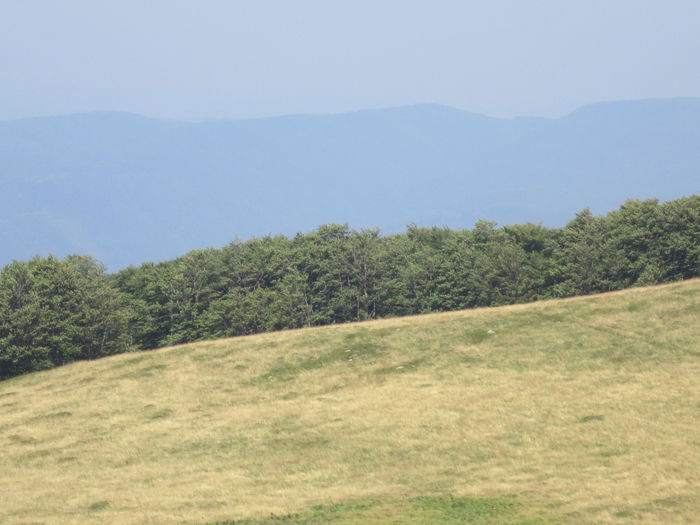 IMG_2939 - PARCUL NATIONAL SEMENIC-CHEILE CARASULUI