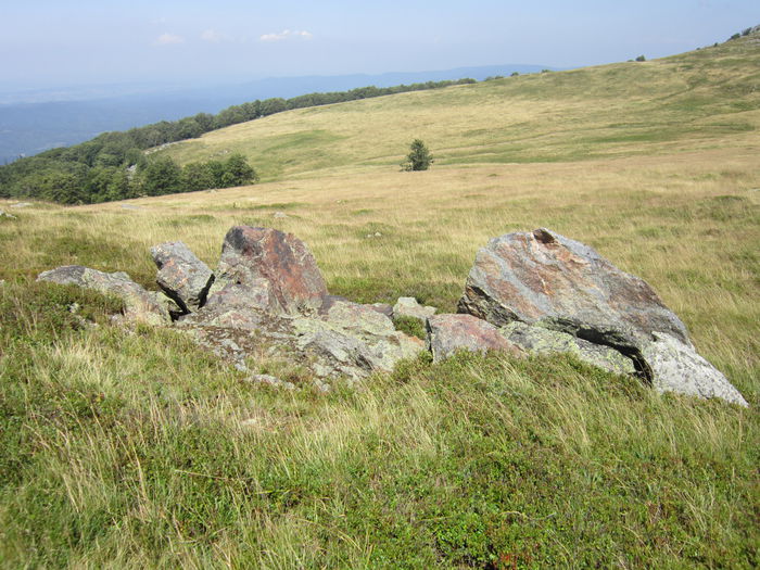 IMG_2943 - PARCUL NATIONAL SEMENIC-CHEILE CARASULUI