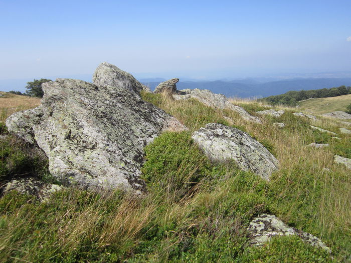 IMG_2944 - PARCUL NATIONAL SEMENIC-CHEILE CARASULUI