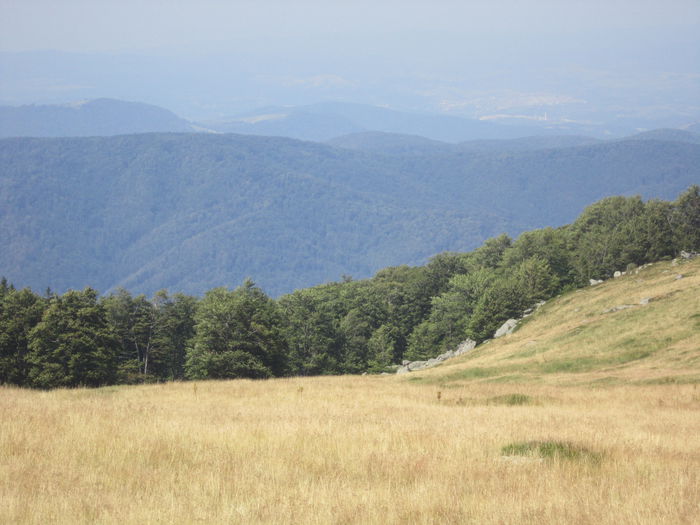 IMG_2945 - PARCUL NATIONAL SEMENIC-CHEILE CARASULUI