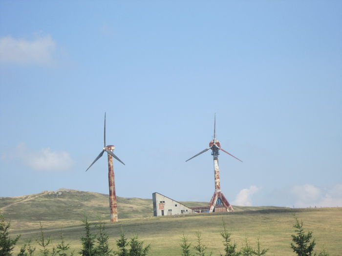 IMG_2947 - PARCUL NATIONAL SEMENIC-CHEILE CARASULUI