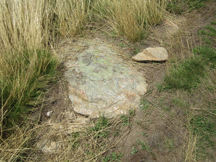 IMG_2953 - PARCUL NATIONAL SEMENIC-CHEILE CARASULUI