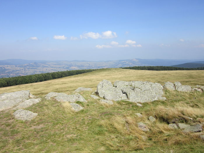 IMG_2956 - PARCUL NATIONAL SEMENIC-CHEILE CARASULUI