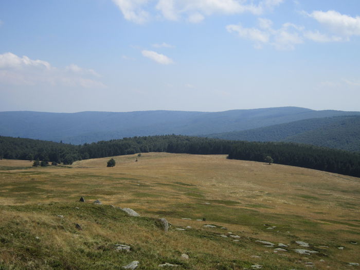 IMG_2960 - PARCUL NATIONAL SEMENIC-CHEILE CARASULUI