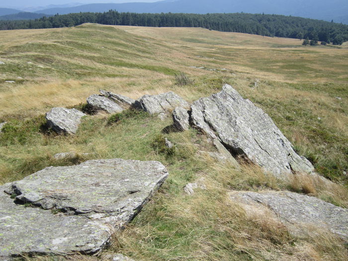 IMG_2961 - PARCUL NATIONAL SEMENIC-CHEILE CARASULUI