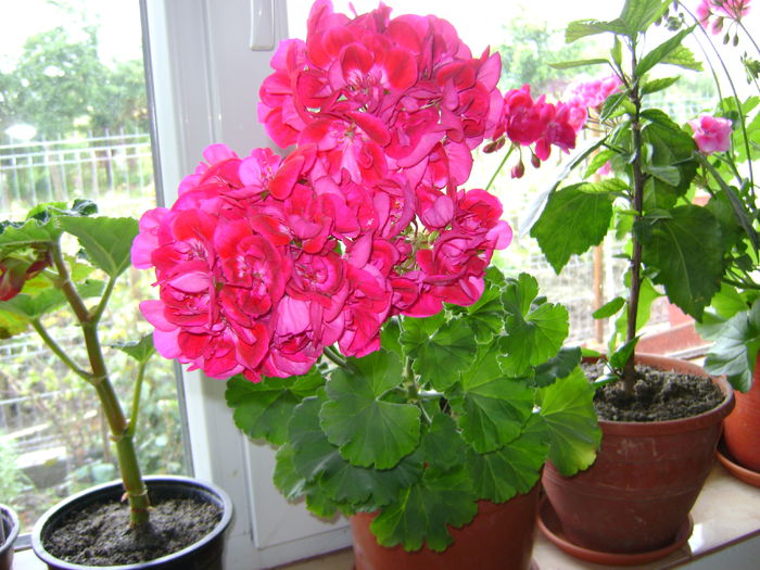 DSC01171