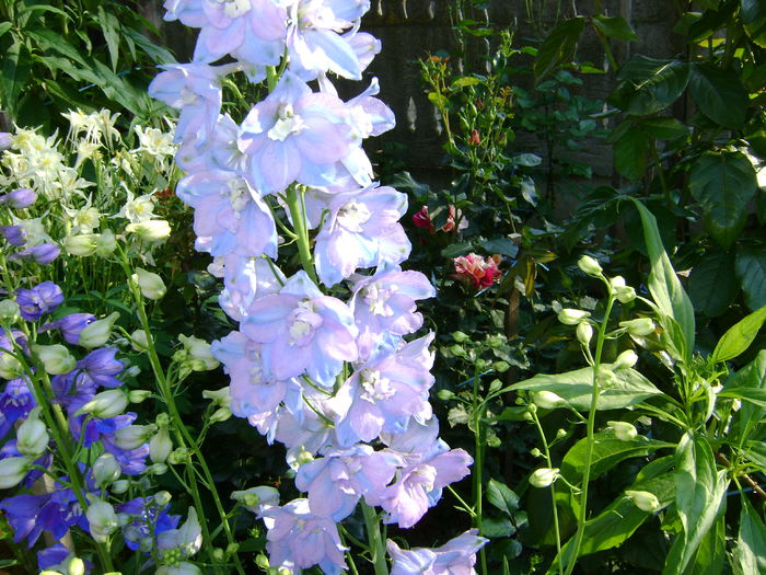 DSC01208