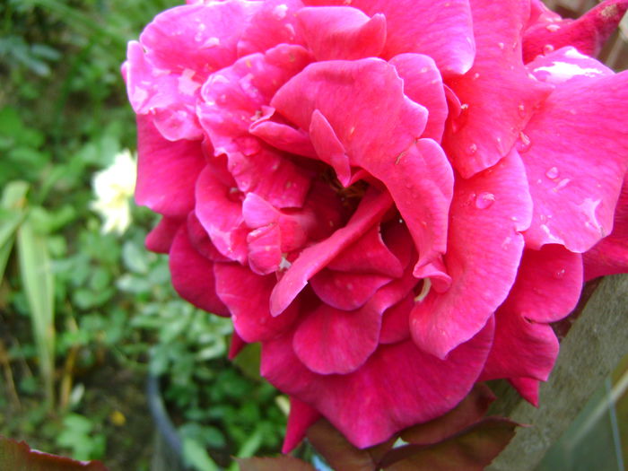 DSC01257