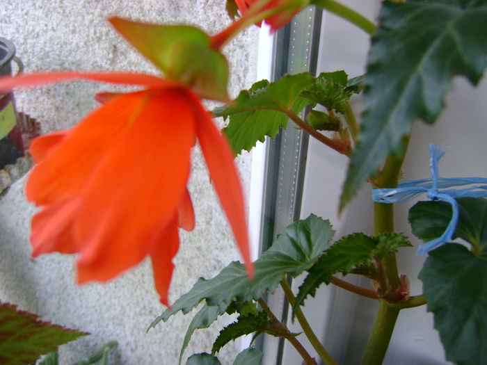 DSC01262