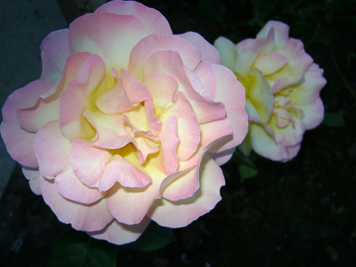 DSC01295