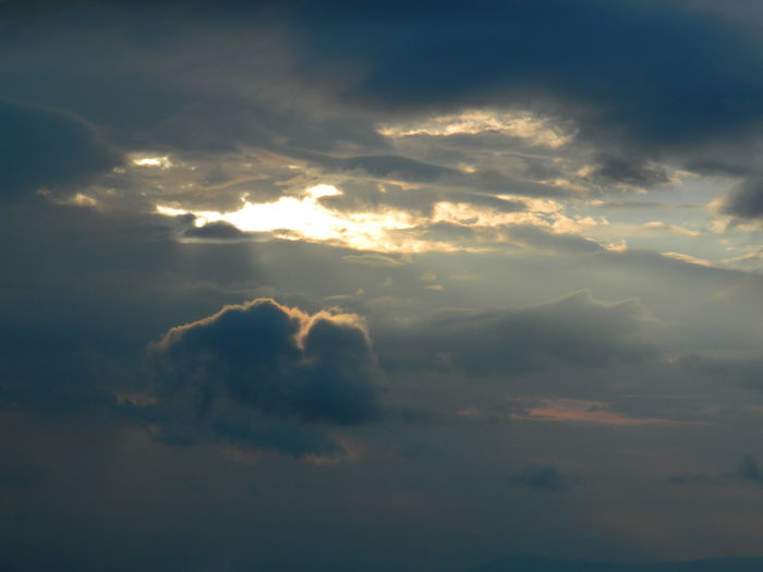 DSCN9084