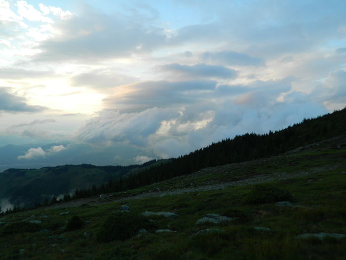DSCN9094