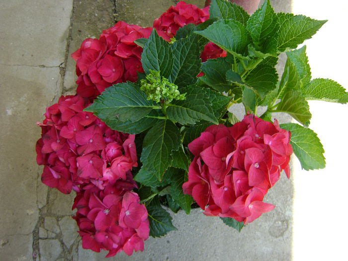 DSC01492