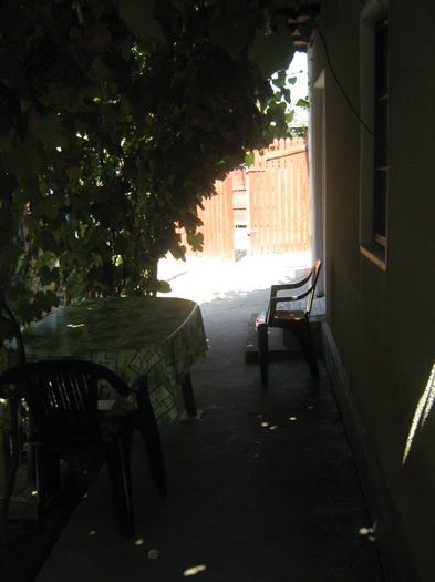 Picture My plants 572