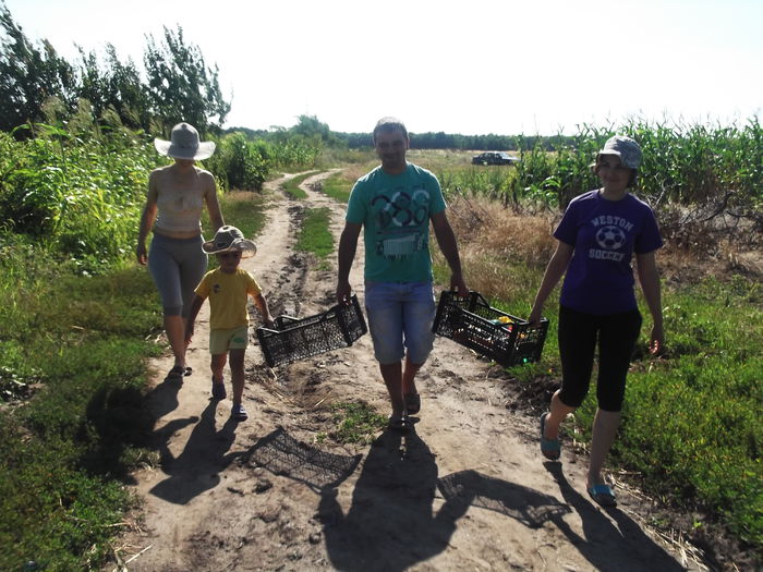 DSCF8307 - La cules de lavanda