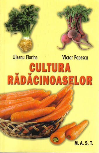 Cultura radacinoaselor - Legumicultura