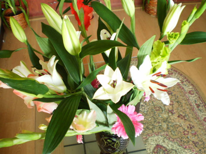 P6300046 - flori 2