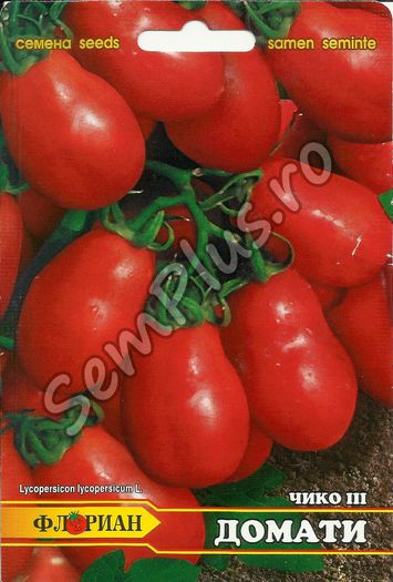 Seminte de rosii Ciko III - 0,5 grame - 1,99 lei - Seminte de tomate - soiuri
