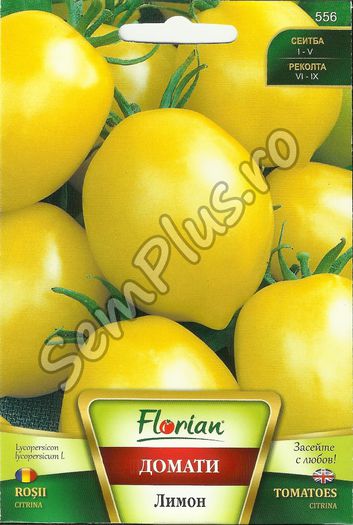 Seminte de rosii galbene lemon - 0,5 grame - 2,99 lei; Un soi de tomate tardiv, medeterminat cu fructe galbene sub forma de lamaie. Din cauza greutatii cumulative a buchetelor de fructe , se recomanda indepartarea primelor buchete.
