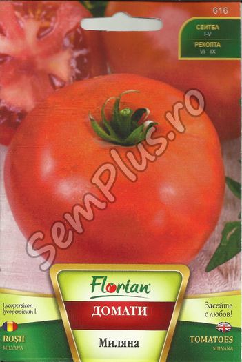 Seminte de rosii Miliana - 1 gram - 2,99 lei - Seminte de tomate - soiuri