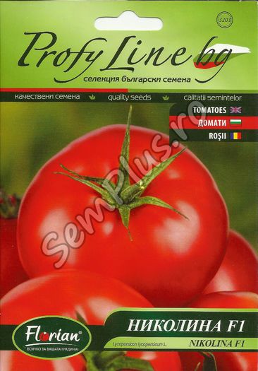 Seminte de rosii Nikolina F1 - 0,5 grame - 6,99 lei; Soi hibrid determinat (nu se fooloseste arac) productiv, mediu-timpuriu bulgaresc de rosii cu gust excelent. Potrivit pentru productie medie-timpurie si tarzie in aer liber.
