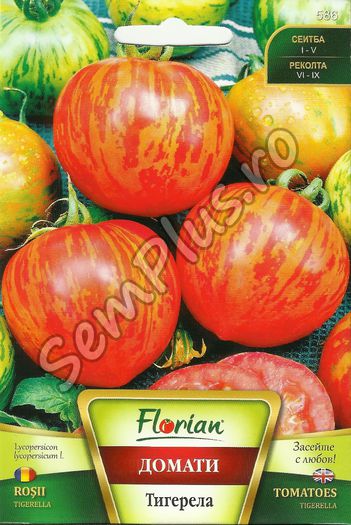 Seminte de rosii Tigerella - 0,5 grame - 3,50 lei; Soi timpuriu cu fructe rotunde si gustoase de culoare rosu intens cu dungi portocalii. Recoltele sunt bogate chiar si pe timpul verilor racoroase si incepe sa produca fructe foarte devreme.
