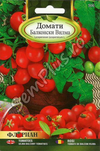 ROSII TOMATE DE BALCON VILMA; Soi cu rata inalta de recoltare destinat pentru hobby. Planta este foarte scunda si este potrivita pentru cultivarea in ghivece pe balcon.Fructele sunt rosii, mici si rotunde
