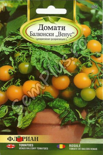 ROSIILE TOMATE DE BALCON VENUS; Soi ornamental destinat pentru hobby. Planta este foarte scunda si este potrivita pentru cultivarea in ghivece pe balcon. Fructele sunt portocalii, mici si rotunde, cu o greutate medie de 15-20 grame
