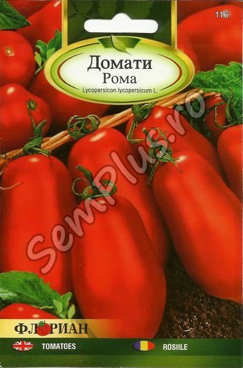 ROSII ROMA; Tipuri de productie: timpurie, medie, tarzie, fara rasad.
