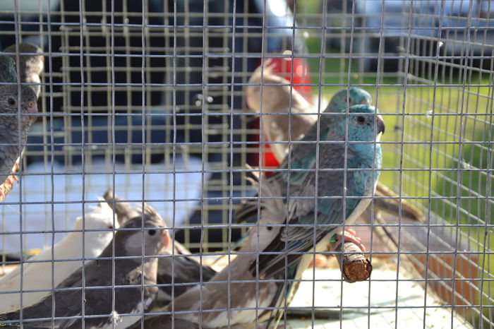 DSC_0149 - TARG MONOR AUGUST 2014