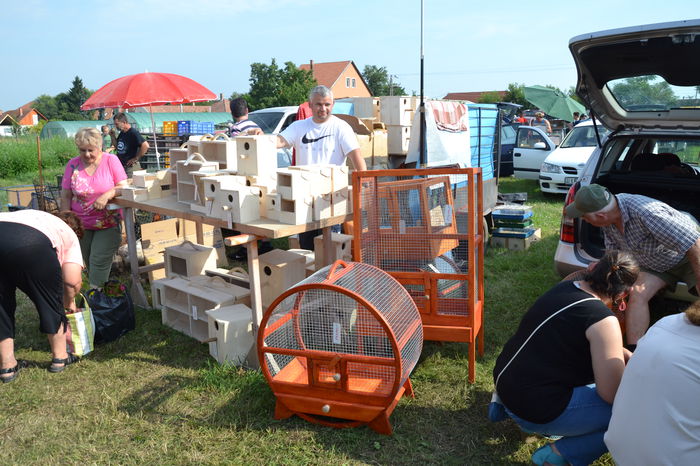 DSC_0184 - TARG MONOR AUGUST 2014