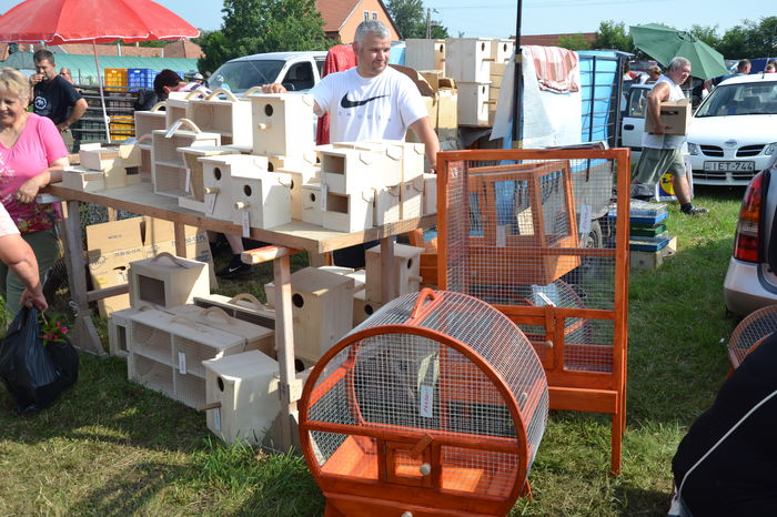 DSC_0185 - TARG MONOR AUGUST 2014