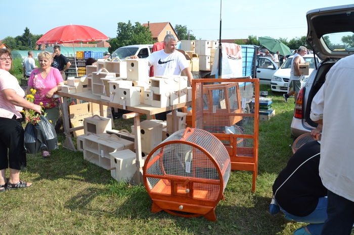 DSC_0186 - TARG MONOR AUGUST 2014